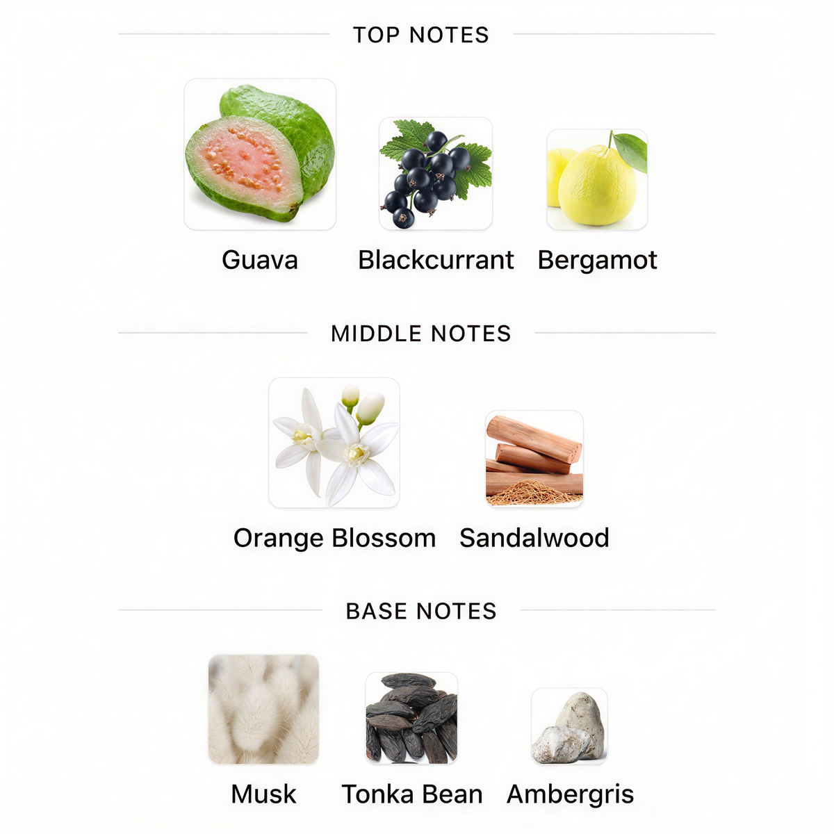 Rasasi Hawas Sapphire FBFragrances Edition Eau de Parfum 100ml